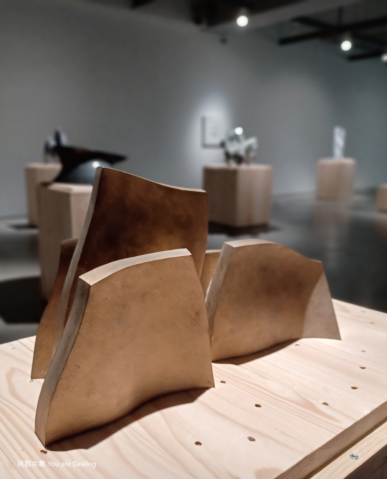 我們感知到的一切都是能量 薩璨如 尼古拉．貝杜 貝杜藝術