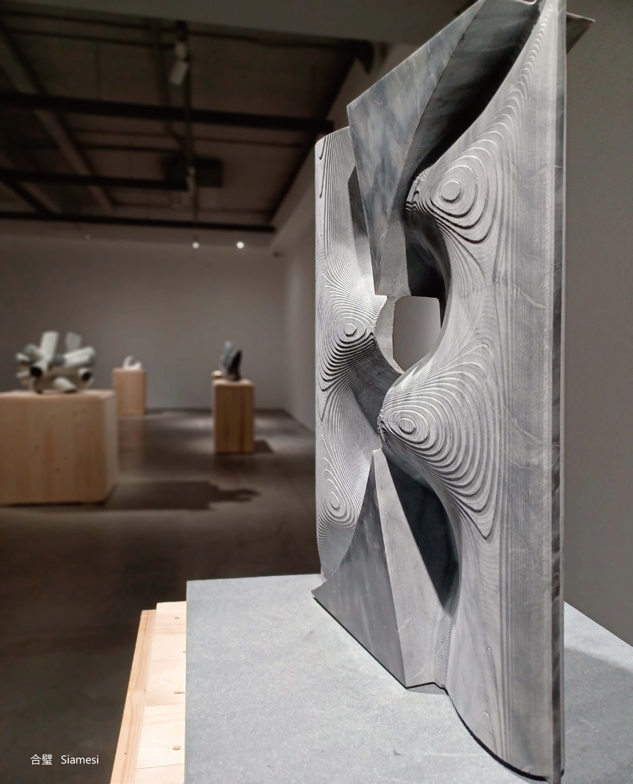 我們感知到的一切都是能量 薩璨如 尼古拉．貝杜 貝杜藝術