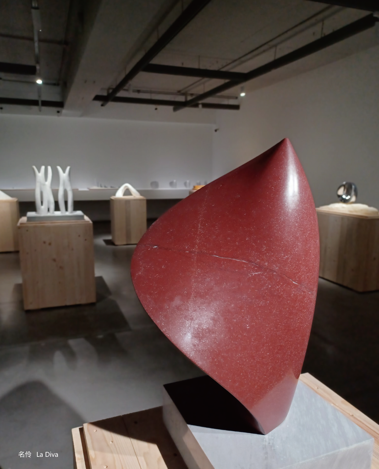 我們感知到的一切都是能量 薩璨如 尼古拉．貝杜 貝杜藝術