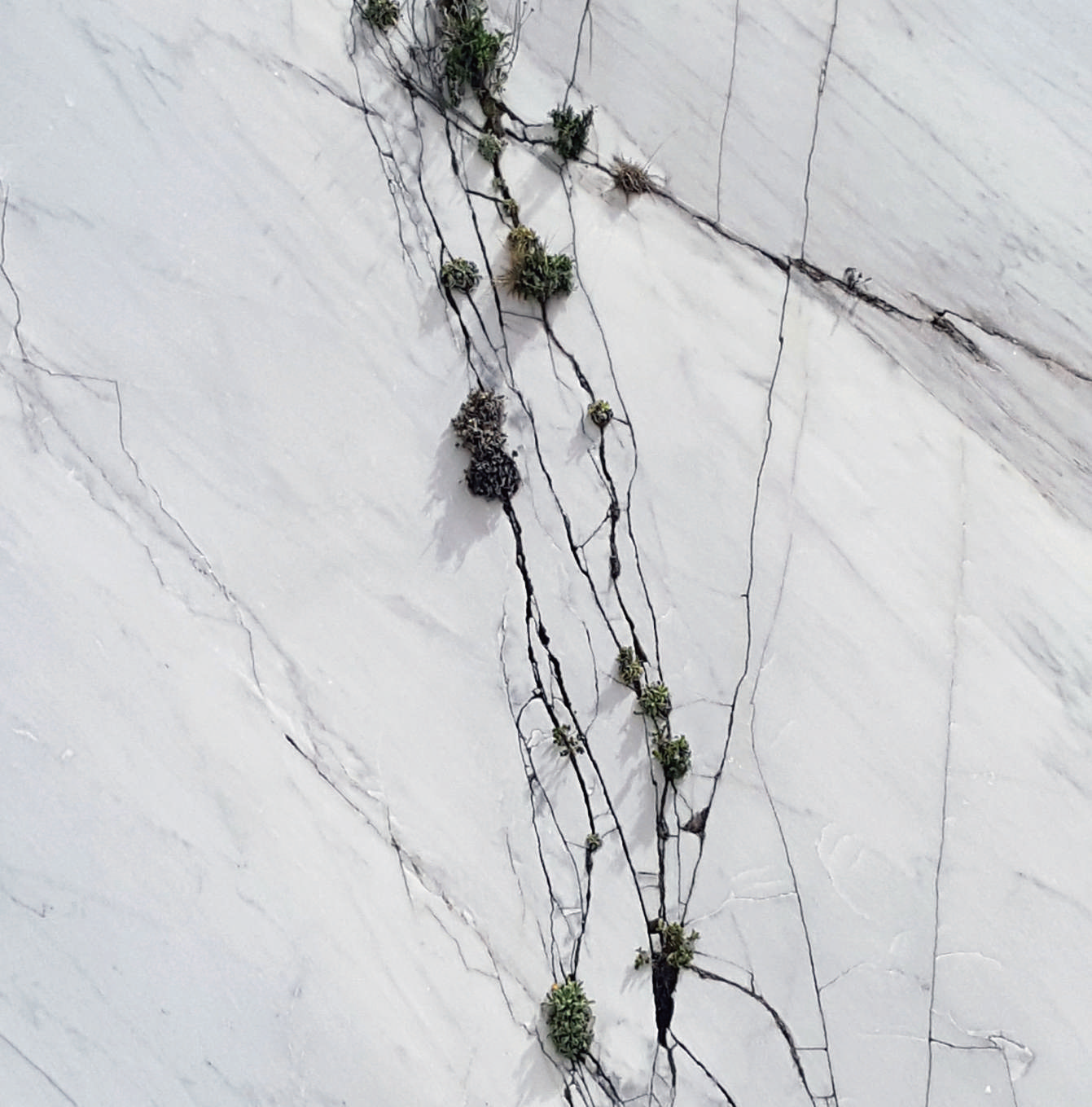 薩璨如（Cynthia Sah）和尼古拉．貝杜（Nicolas Bertoux）的雙個展「湧現 撰文／黃筱慧(東吳大學哲學系副教授)